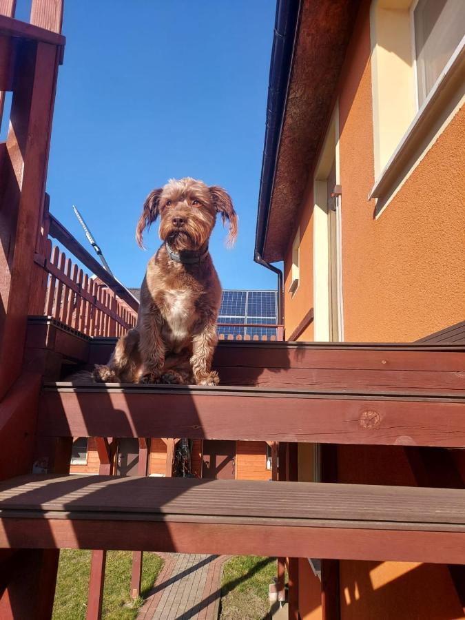 Siedlisko Na Zaciszu Apartamenty Kąty Rybackie Dış mekan fotoğraf